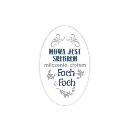 MAGNES NA LODÓWKĘ MOWA JEST SREBREM-4447