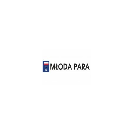 TABLICA SAMOCHODOWA 50x11,5 ŚLUB DEKORACJA-4746